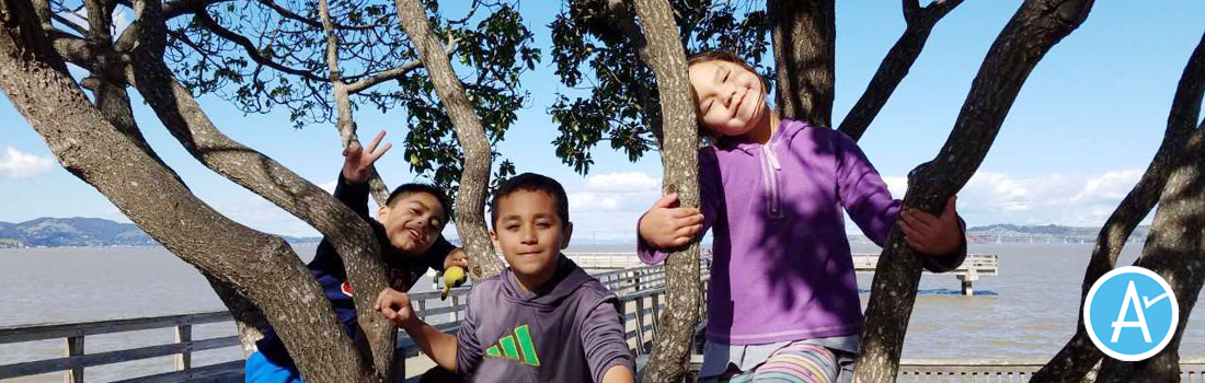 Kids playing in tree at McNears Park, with Measure A logo in right corner of the photo