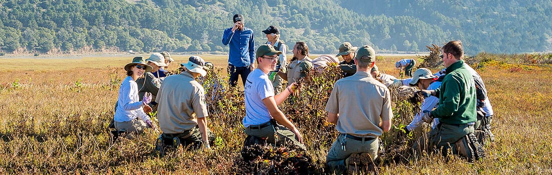 Marin County Parks Job Opportunities