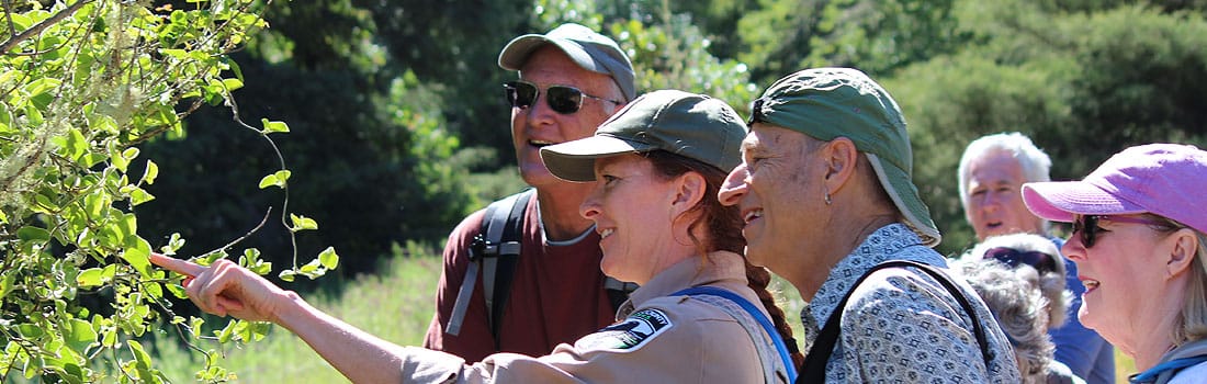 Naturalist leading a group in Cascade Canyon