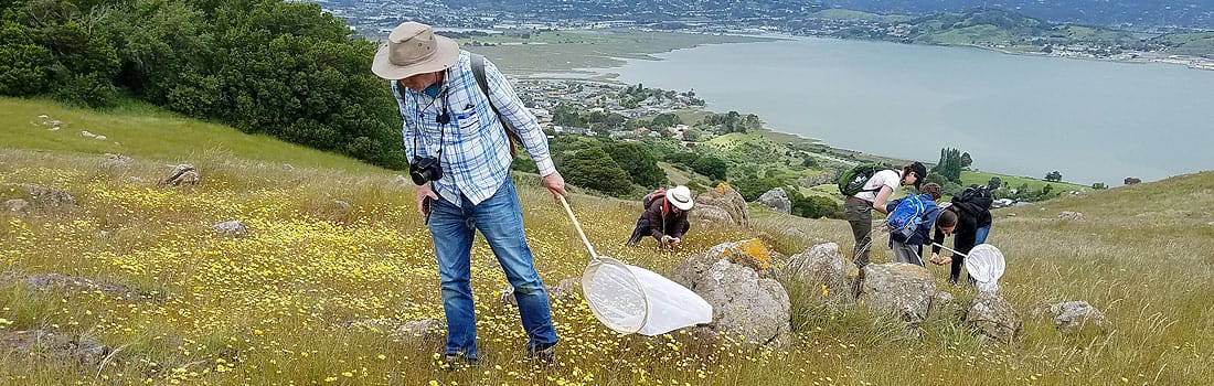 Group on Ring Mountain searching for butterflies
