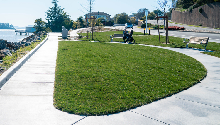 Turf and accessible path at Bayside Park