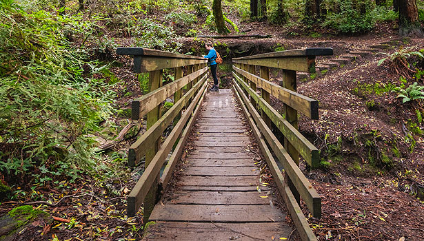 Woman standing on wooden footbridge in Baltimore Canyon Preserve