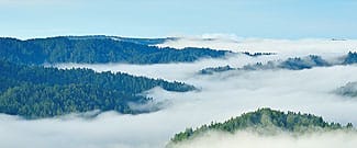 Mist over Loma Alta ridgeline