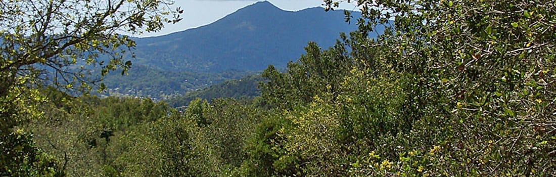 San Pedro Mountain 