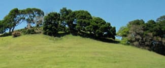 Verissimo Hills Preserve