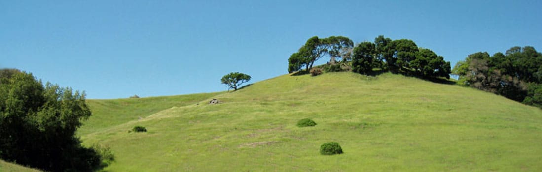 Verissimo Hills Preserve