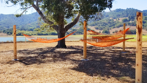 Installation of the hammocks