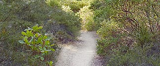 Hunt Camp Trail