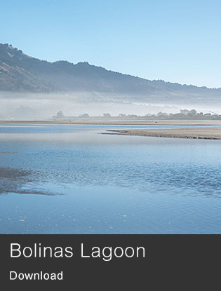 Download Bolinas background image