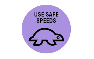 Use safe speeds icon
